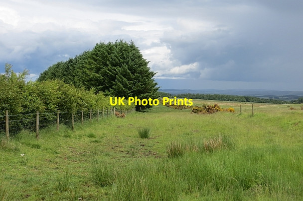 Photo 6"x4" The Drove Road Bowismiln c2013