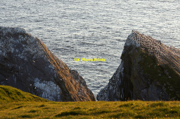 Photo 6"x4" Humla Stack and Burra Stack, Hermaness Clingra Stack c2013