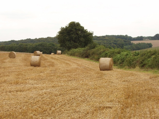Photo 6"x4" Stubble and straw bales, Handy Cross Cressex c2008