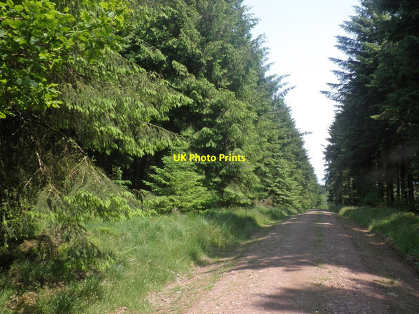 Photo 6"x4" Summit of Croydon Hill Churchtown\/SS9738 c2013