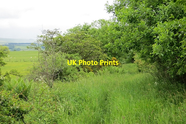 Photo 6"x4" Track, Muirfield Horsleyhill c2013