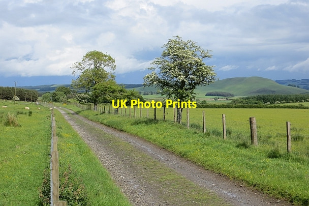Photo 6"x4" The Drove Road, Muirfield Horsleyhill c2013