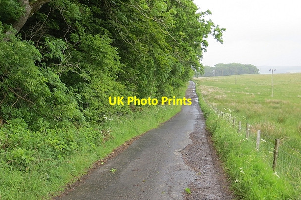Photo 6"x4" Drove road Hassendean c2013