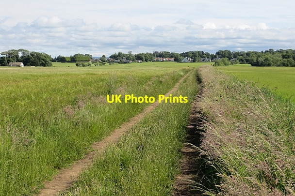 Photo 6"x4" Track, Dirleton Dirleton\/NT5183 c2013