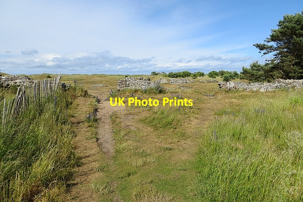 Photo 6"x4" Ruined wall, Yellowcraig Dirleton\/NT5183 c2013