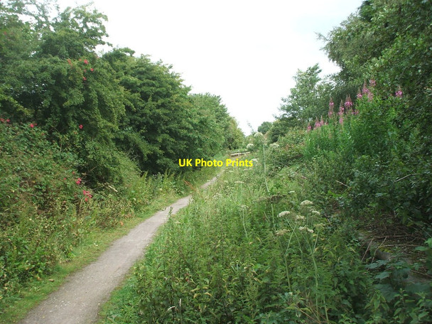 Photo 6"x4" Ellerby (previously Burton Constable) railway station (site), Yorkshire New Ellerby c2009