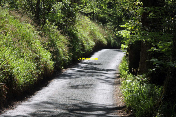 Photo 6"x4" The road to Woody Bay Woody Bay\/SS6749 c2013