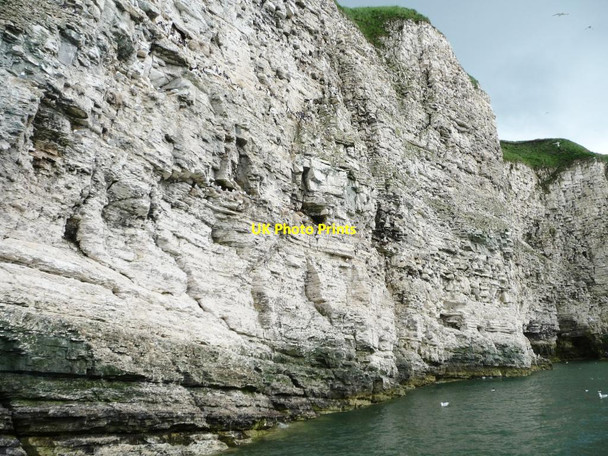 Photo 6"x4" Sea birds nesting on the cliff face, Breil Nook [1] North Landing c2013