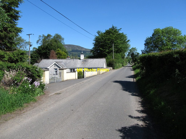 Photo 6"x4" A cottage on Dernaroy Road Jonesborough c2013