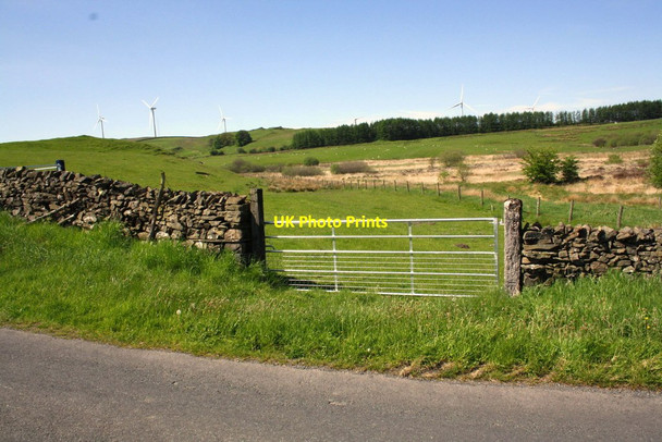 Photo 6"x4" Gateway into Burns Beck Moss Nature Reserve Beckside\/SD6188 c2013