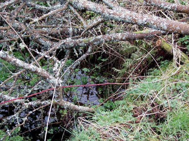 Photo 6"x4" Holy Well at St Teilo's Church, Llandeloy Llandeloy c2006