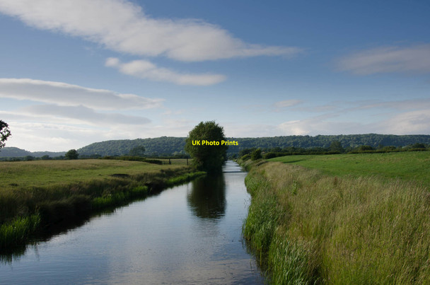 Photo 6"x4" Yearling Ditch - Clevedon East Clevedon c2013