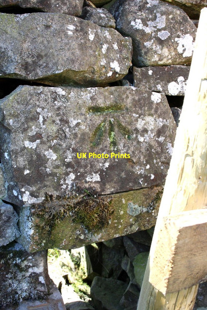 Photo 6"x4" Benchmark on Old Scotch Road culvert in Swarther Plantation Beckside\/SD6188 c2013