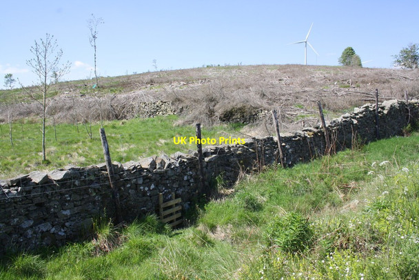 Photo 6"x4" Dry stone wall beside Old Scotch Road in Swarther Plantation Beckside\/SD6188 c2013
