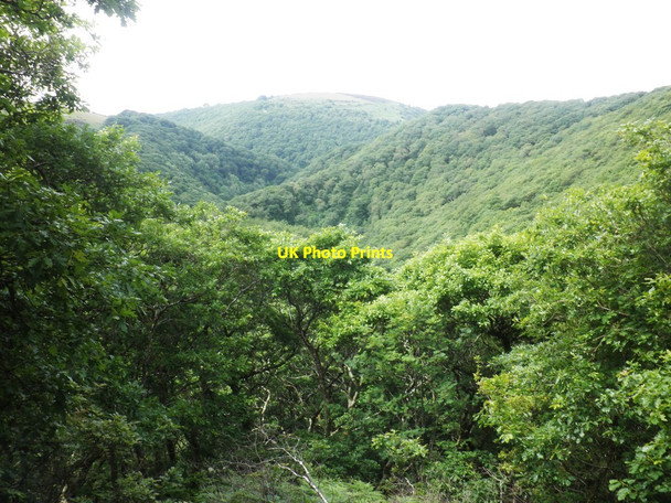 Photo 6"x4" View from Chisel Combe Countisbury c2013