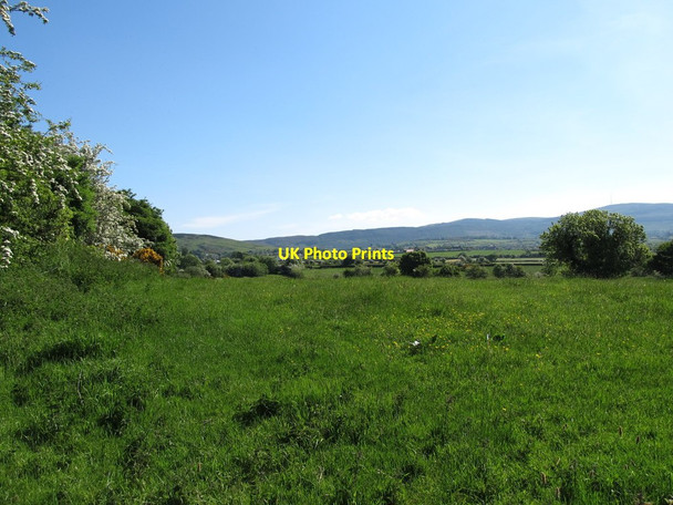 Photo 6"x4" Natural meadow on the east side of Ballynamona Road Jonesborough c2013