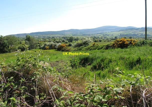 Photo 6"x4" Boccage country east of Ballynamona Road Jonesborough c2013
