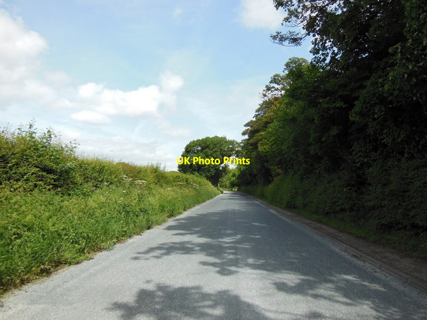 Photo 6"x4" Station Lane towards Hutton Rudby Enterpen c2013