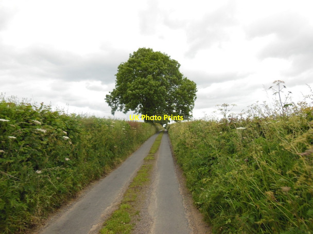 Photo 6"x4" Binsley Lane towards Crayke Lane Crayke c2013