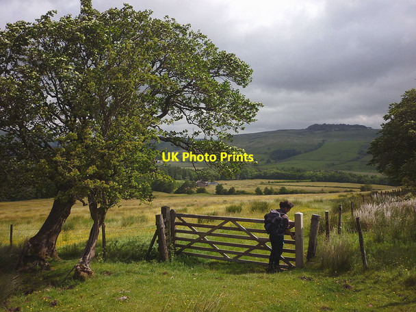 Photo 6"x4" A gate above the Hodder Valley Fair Oak\/SD6446 c2013
