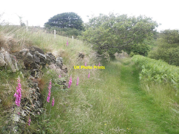 Photo 6"x4" Footpath above Wester Wood Lynton c2013