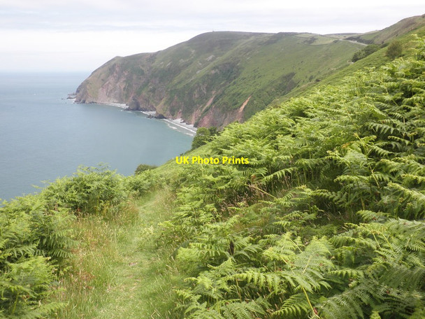 Photo 6"x4" View towards Countisbury Common Countisbury c2013