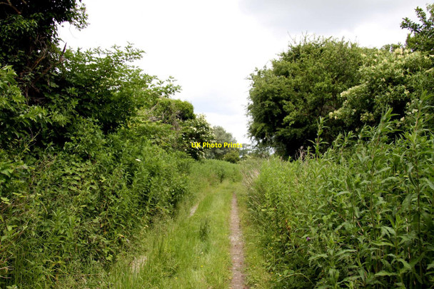 Photo 6"x4" Stream Road to Frogalley Farm Upton\/SU5186 c2013