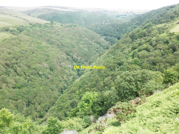 Photo 6"x4" Wester Wood Lynton c2013