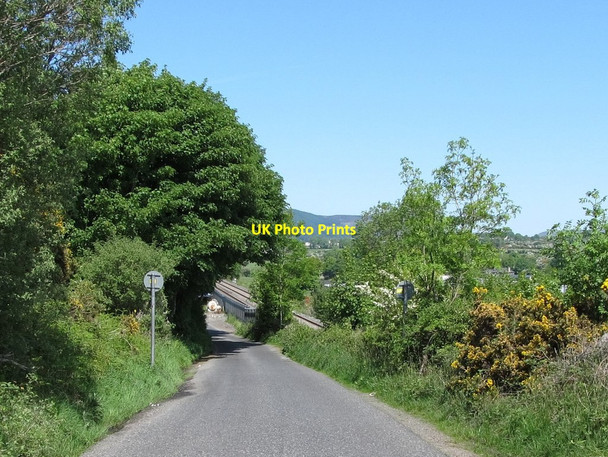 Photo 6"x4" Downhill across the Border at Taylor's Folly Faughart Upper c2013