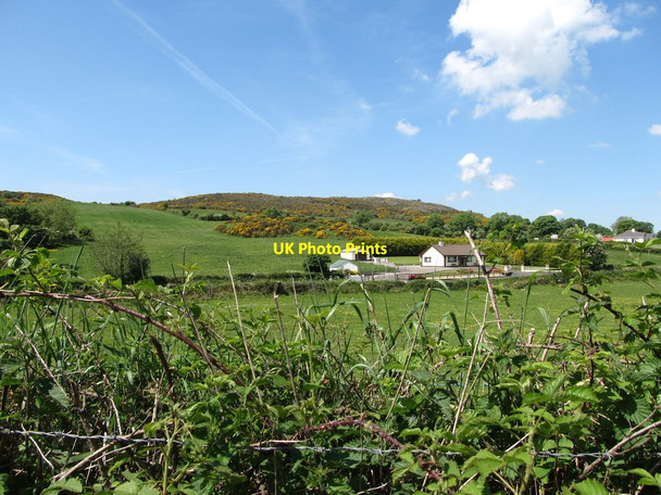 Photo 6"x4" Bungalows on the Carrickbond Road Faughart Upper c2013