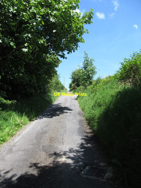Photo 6"x4" Climbing northwards to the highest point on Carewamean Road Faughart Upper c2013