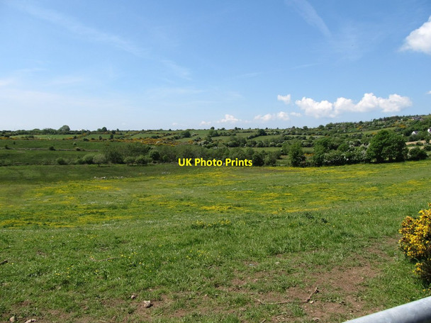 Photo 6"x4" Natural meadow on the border Faughart Upper c2013