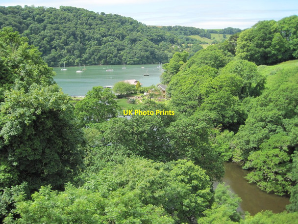 Photo 6"x4" First view of the Dart Valley Dittisham c2013