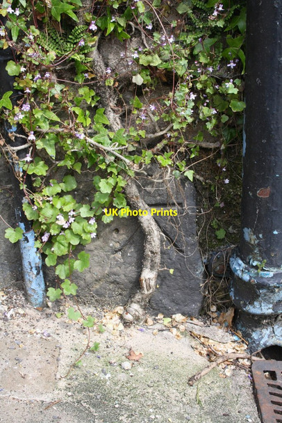 Photo 6"x4" Benchmark on #52 Bargate Richmond\/NZ1701 c2013