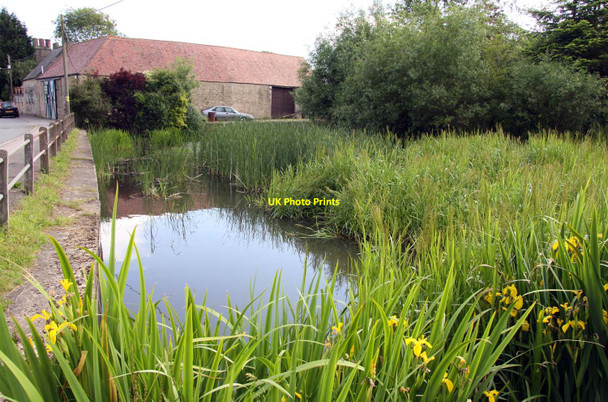 Photo 6"x4" The village pond in Cumnor Cumnor c2013 P1