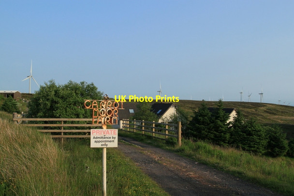 Photo 6"x4" Carrot Moor Farm Eaglesham c2013