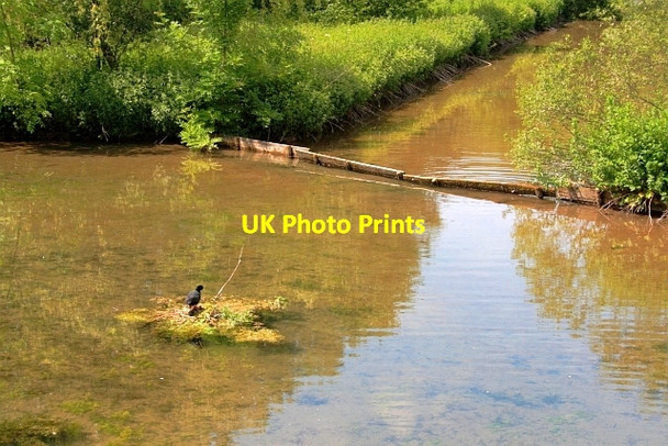 Photo 6"x4" River Lathkill Bradford\/SK2164 c2013