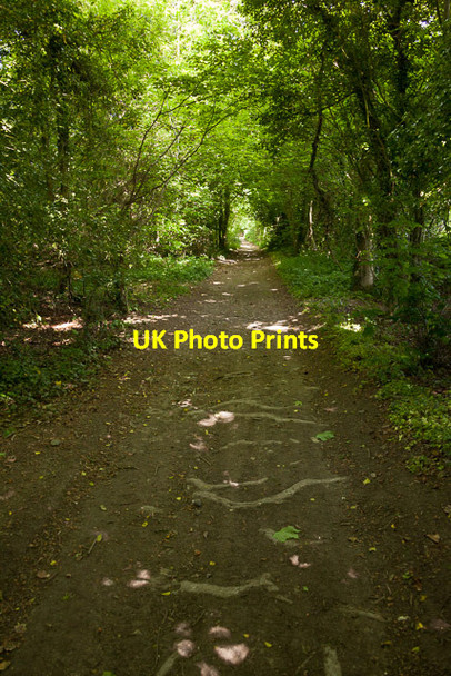 Photo 6"x4" Byway from Clanfield to Hyden Wood Clanfield\/SU7016 c2013