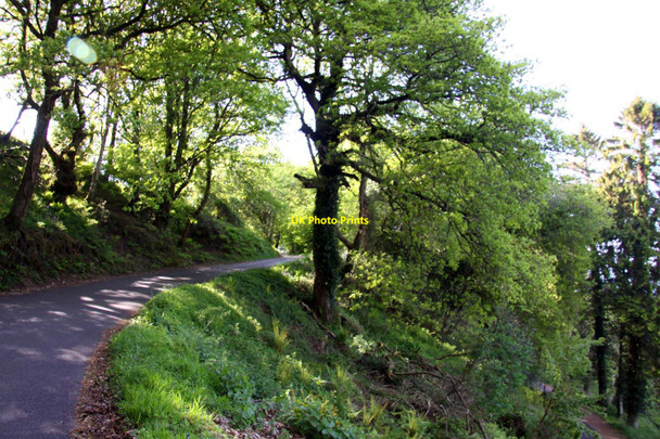 Photo 6"x4" New Road to Lynmouth Porlock Weir c2013