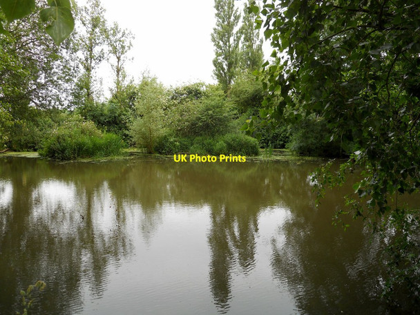 Photo 6"x4" Leamington-Newbold Comyn Park Royal Leamington Spa c2013