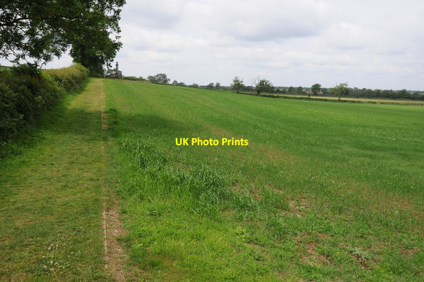 Photo 6"x4" Path to the Naseby Monument Naseby c2013