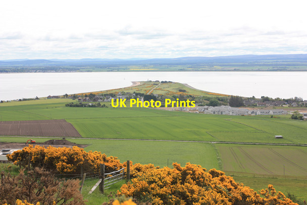 Photo 6"x4" Gorse and a gate above Fortrose Fortrose c2013