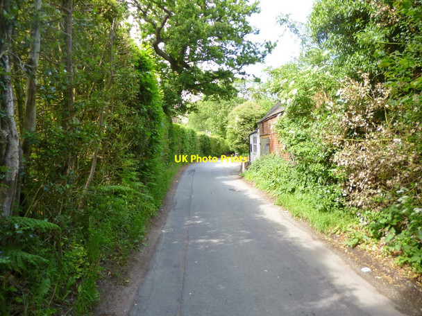 Photo 6"x4" Kingswood, County Lane Kingswood Common\/SJ8402 c2013