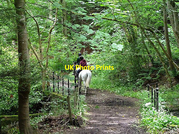 Photo 6"x4" A track at Maxpoffle Bowden\/NT5530 c2013