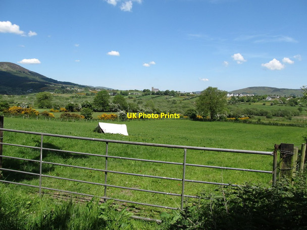 Photo 6"x4" Grazing land on the east side of Tievecrom Road Forkhill c2013