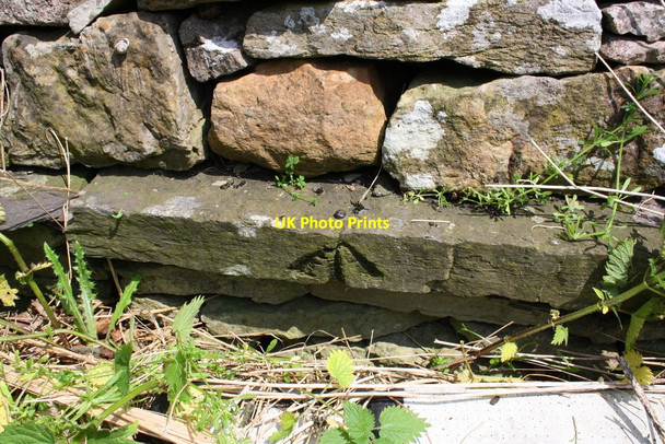 Photo 6"x4" Benchmark on stone in wall beside Sissy Bank Redmire\/SE0491 c2013