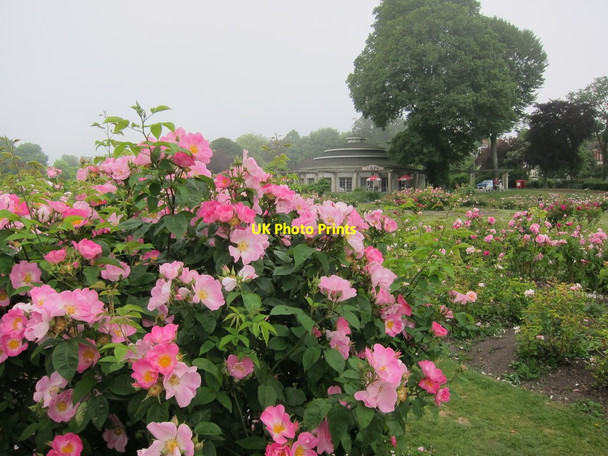 Photo 6"x4" Preston Park Rose Gardens and the Rotunda Brighton\/TQ3106 c2013