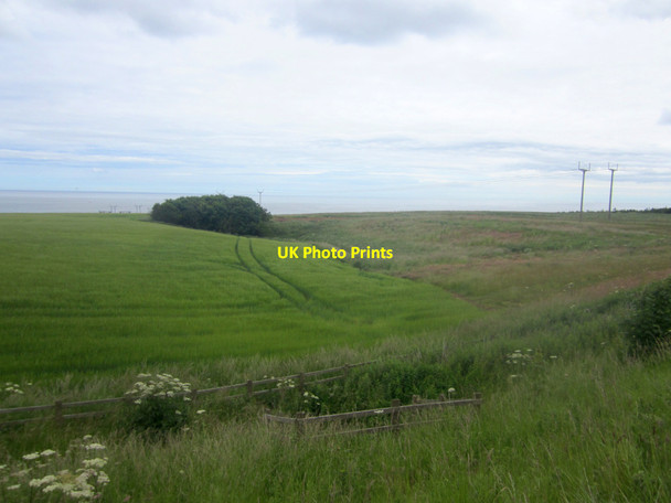 Photo 6"x4" Arable land north of Folly Farm Marshall Meadows c2013