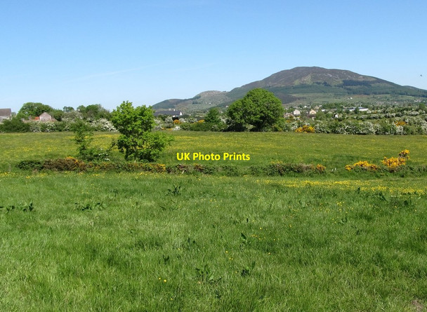 Photo 6"x4" View north across grassland in the direction of Drumintee Jonesborough c2013