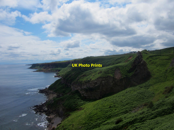 Photo 6"x4" Looking south along the sea cliffs east of Lamberton Shiels Ross\/NT9660 c2013